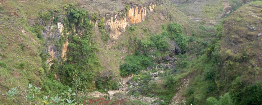 
            Фотография Mulo