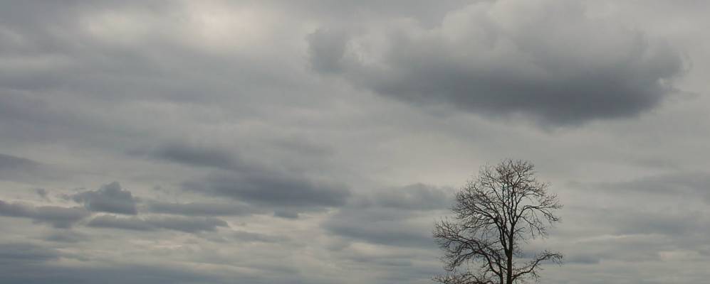 Фотография Пленицыно