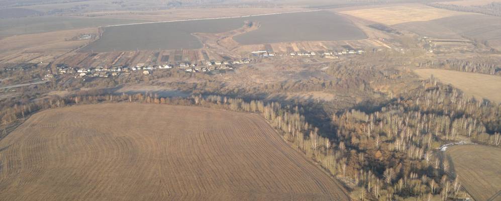 
            Фотография Щеки