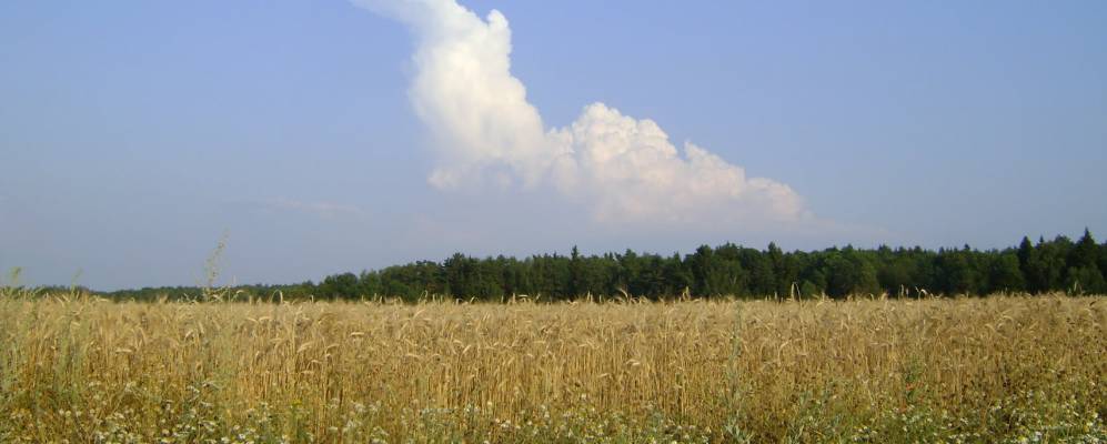 Фотография Писково