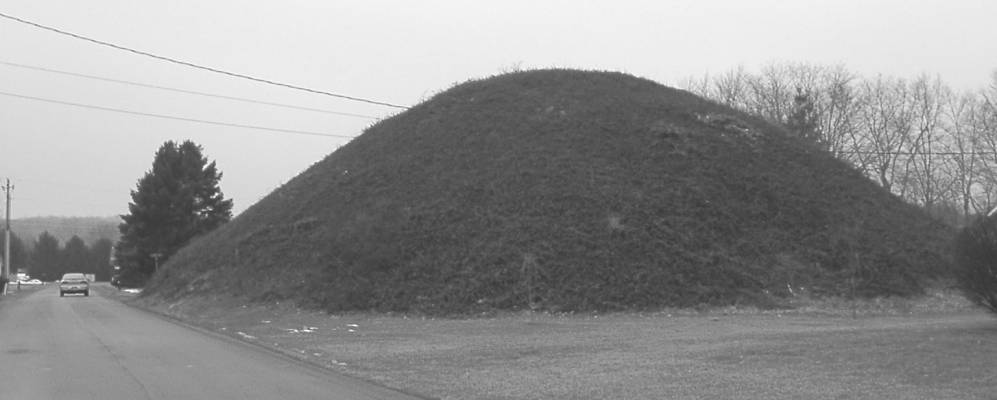 
            Фотография Плейнса