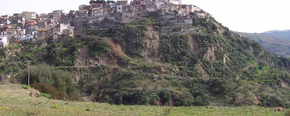 
            Фотография Тарсии