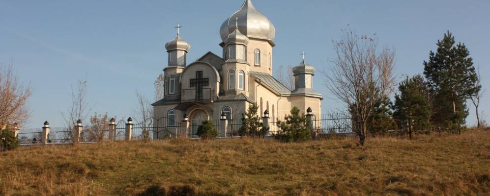 
            Фотография Онута