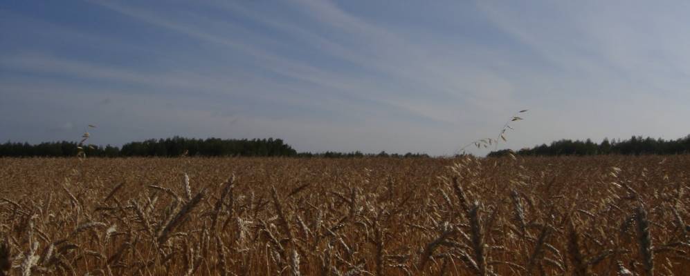 
            Фотография Трусилово