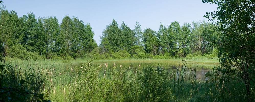 Фотография Большой Моси