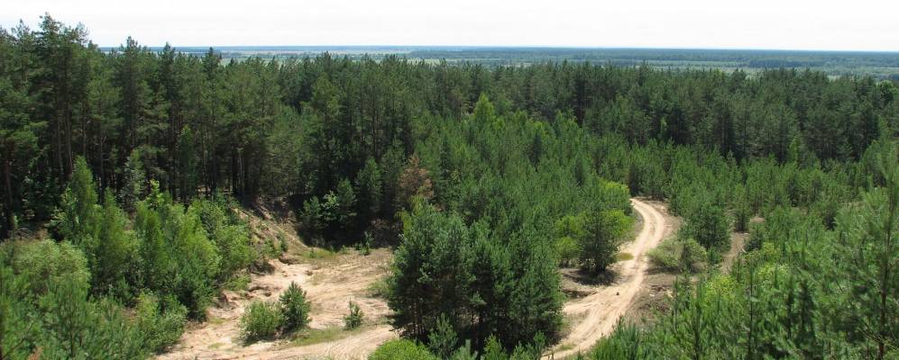 
            Фотография поселка Челющевичи