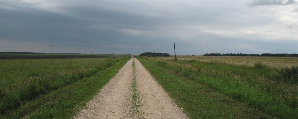 
            Фотография Рогового