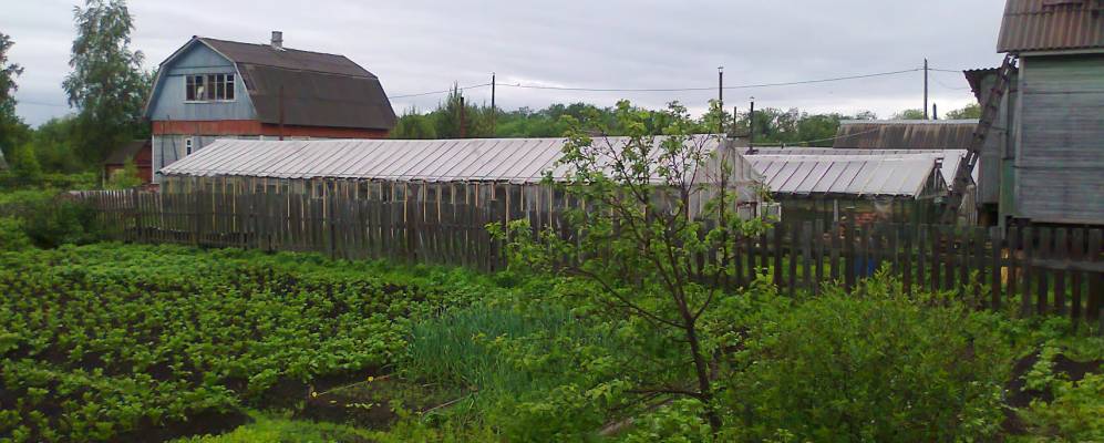 
            Фотография Осинника