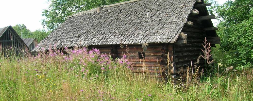 
            Фотография Ерзовки