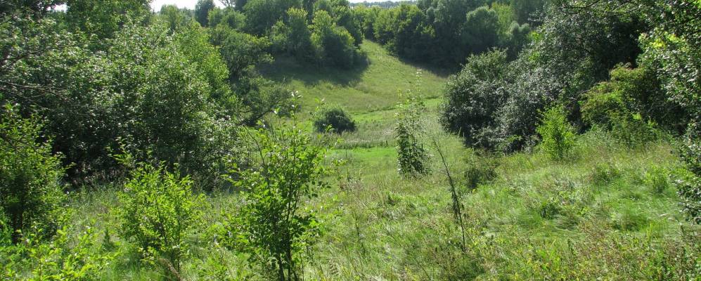 
            Фотография Рудомана