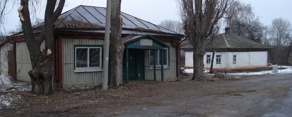 
            Фотография Гринева