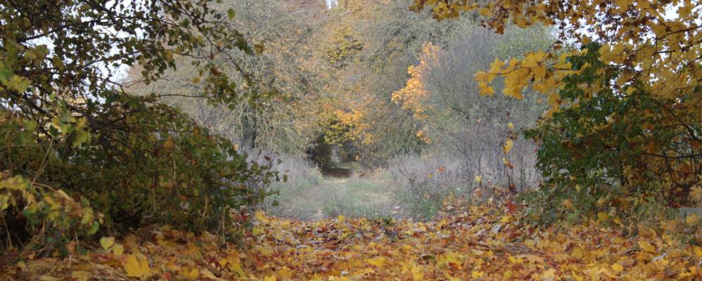 
            Фотография деревни Станковцы