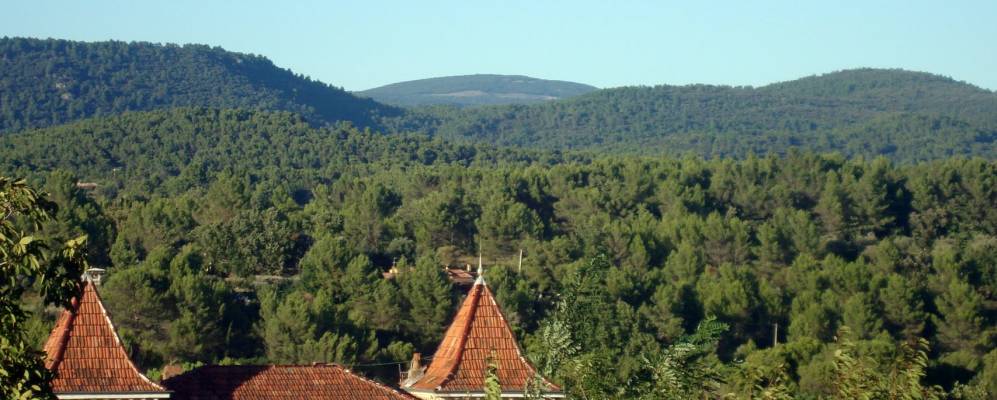 
            Фотография Флайоска