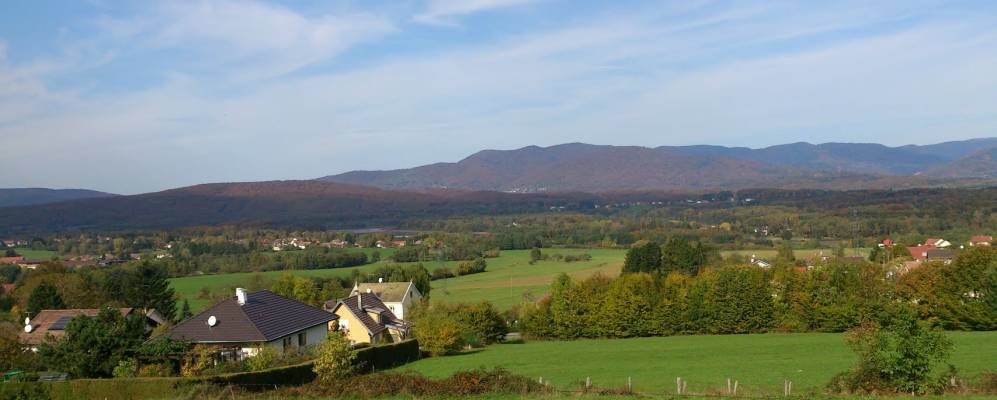 
            Фотография Сальбера