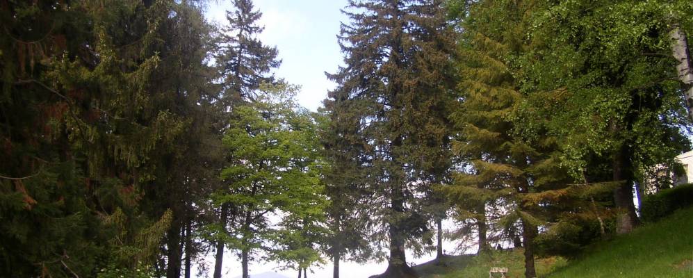 
            Фотография Магрельо