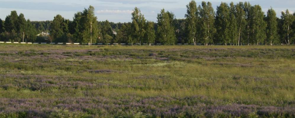 
            Фотография Иванищево