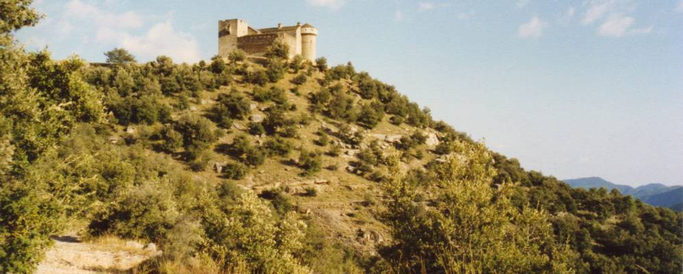 
            Фотография Ожака