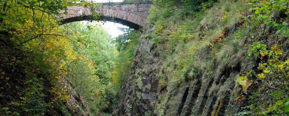 
            Фотография Папенхайма