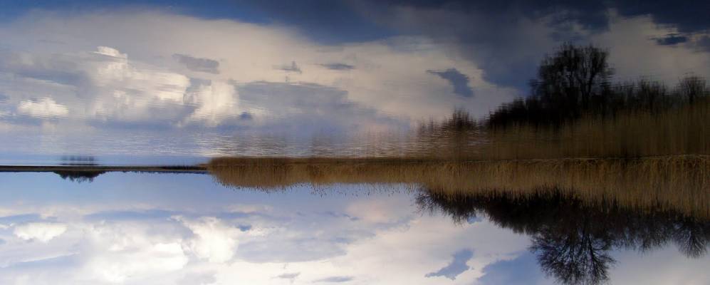 Фотография Писаревки