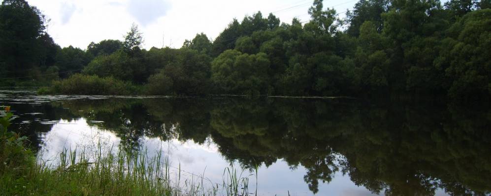 
            Фотография Калиновского