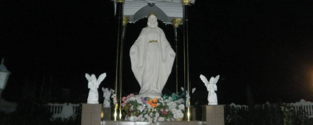 
            Фотография Жнибороды