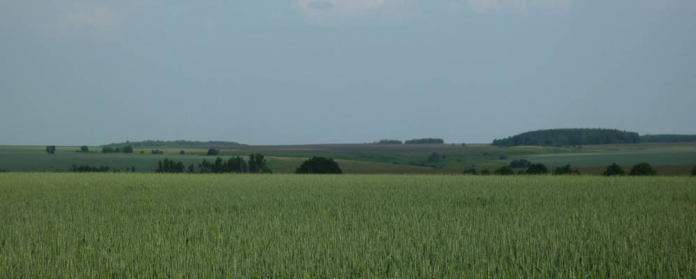 Фотография Бучалов