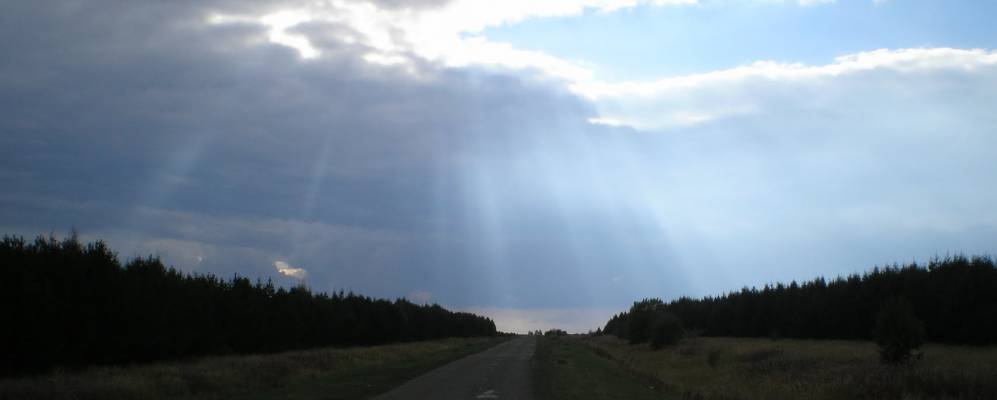 
            Фотография Торопкасов