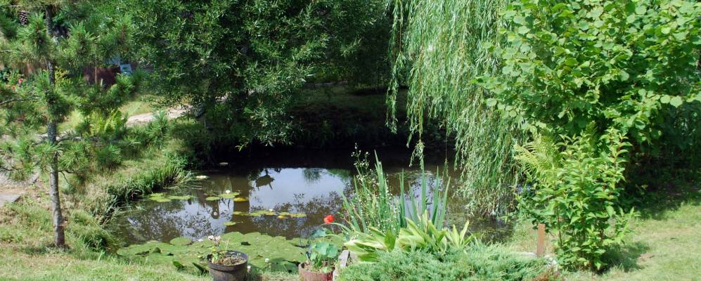 
            Фотография Каськово