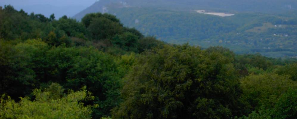 
            Фотография Победы