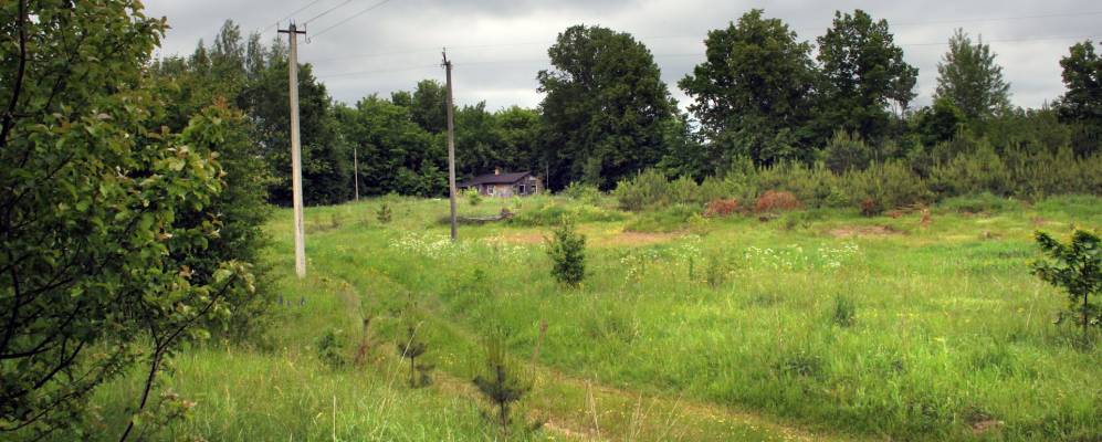 Фотография деревни Желуды