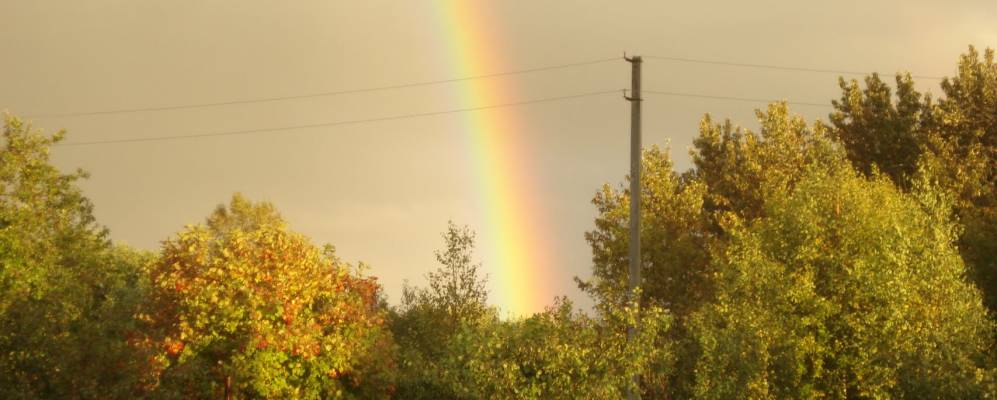 
            Фотография Корниговки