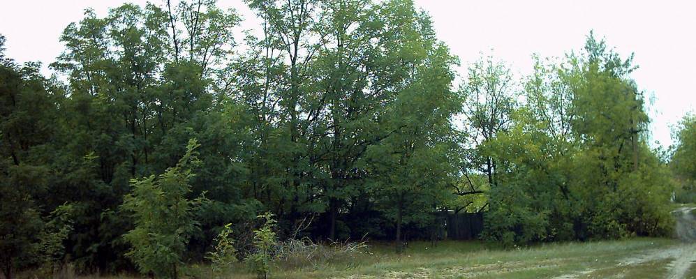 
            Фотография Лопатина