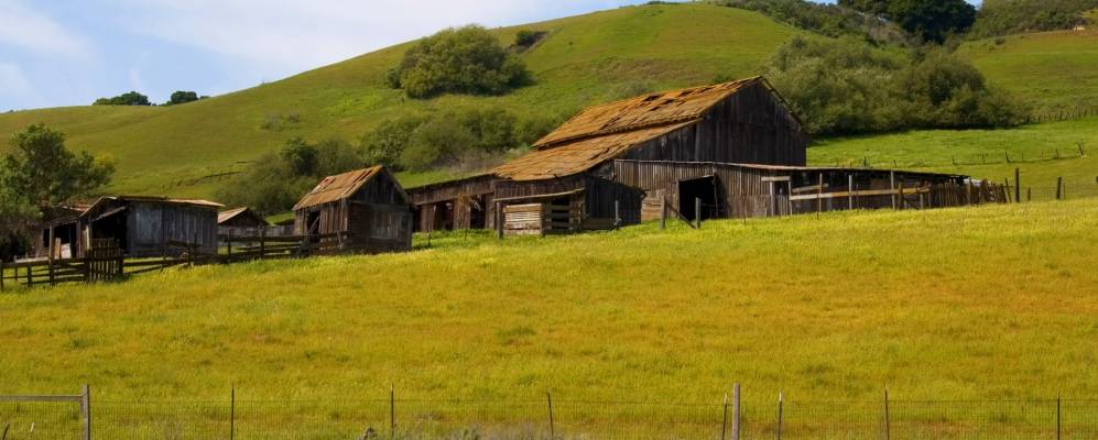 
            Фотография Аромаса