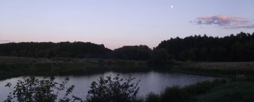 
            Фотография Лукошкино