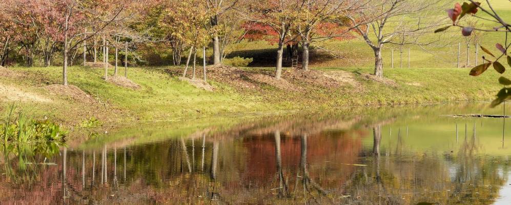
            Фотография Вольф Трапа