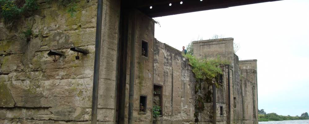 
            Фотография Островного