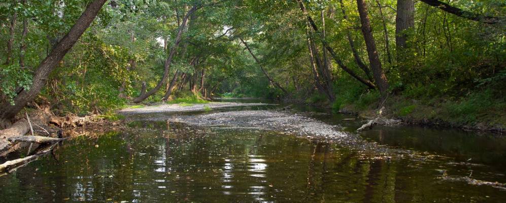 
            Фотография Сарбаево