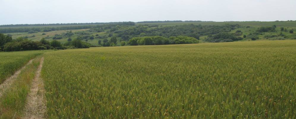 
            Фотография Грицаевки