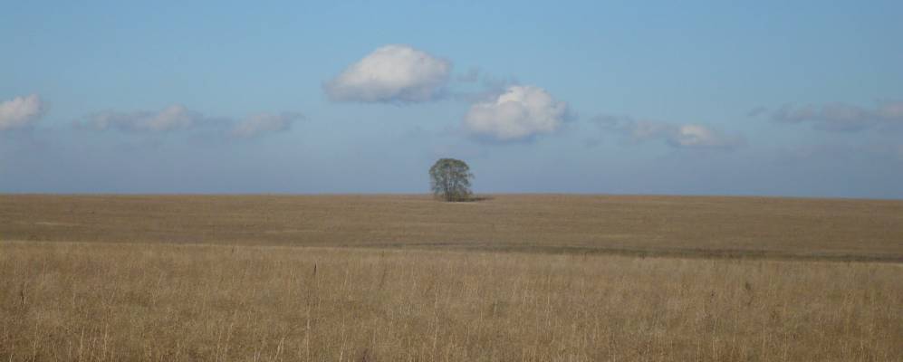 Фотография Карлино