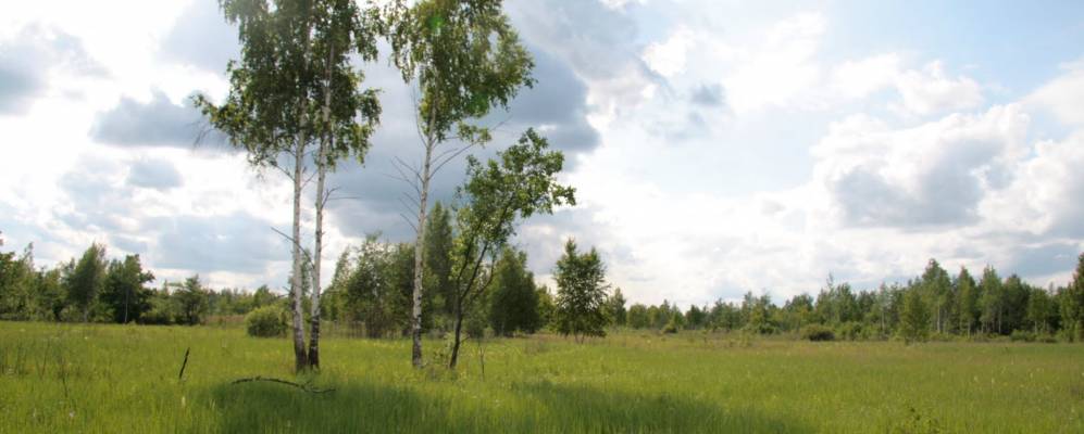 Фотография Сукремля