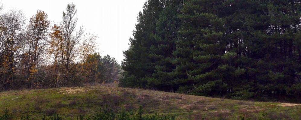 
            Фотография Кулеши