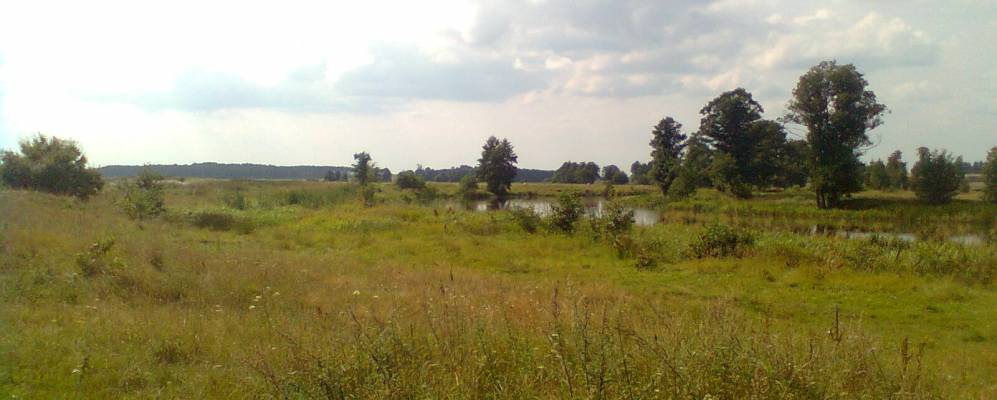 Фотография деревни Масликовцы