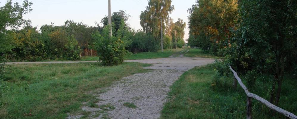 
            Фотография Попельни