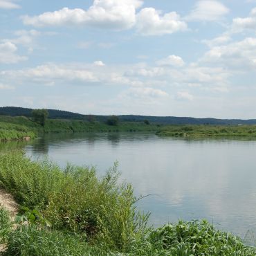 Малое Панарино