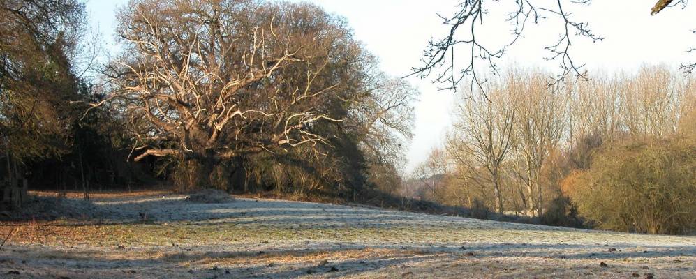 
            Фотография Кобхема