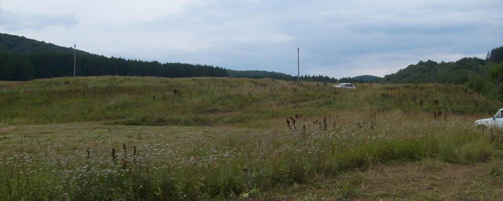 
            Фотография Асиялана