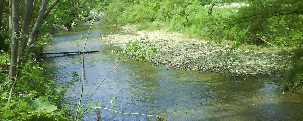 
            Фотография Мшанца