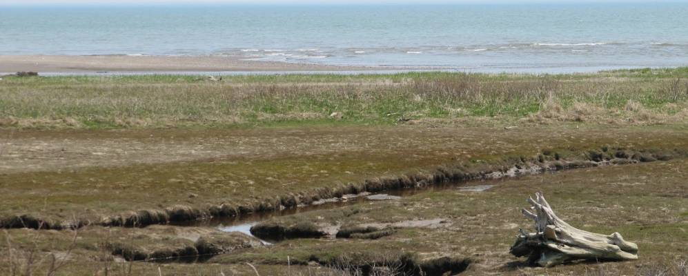 
            Фотография Золоторыбного