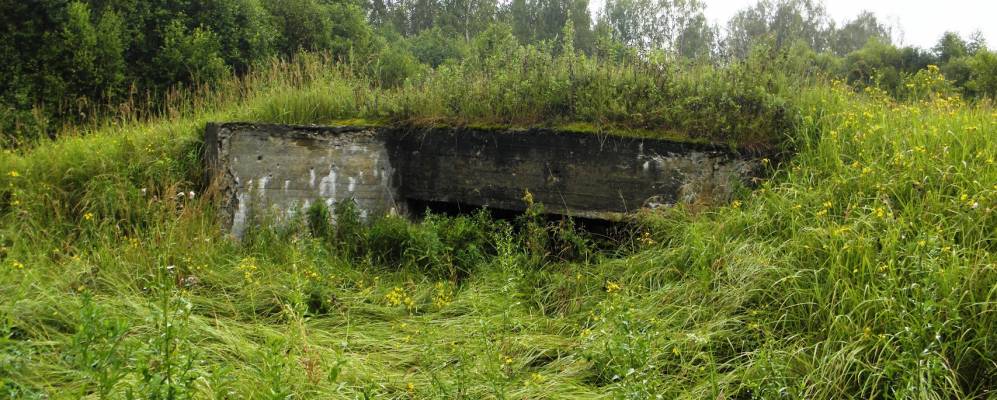 
            Фотография Никифорово