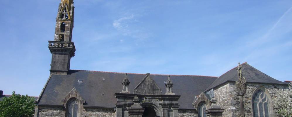 
            Фотография Динео